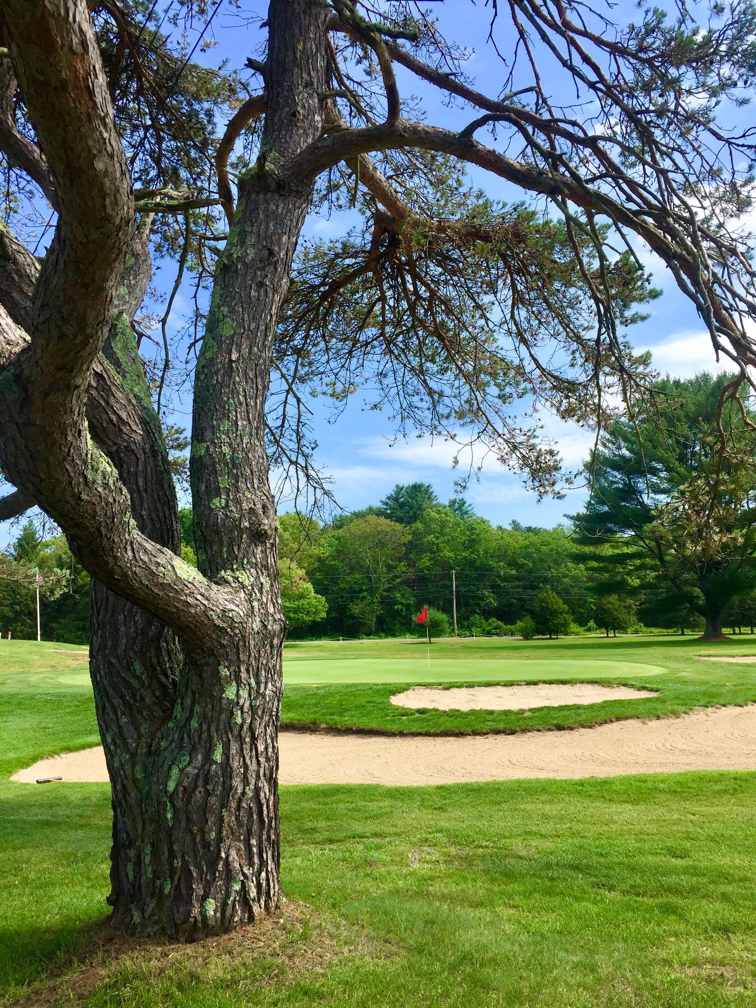 Coventry Pines Golf Course The fun place to play!